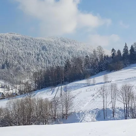 Dom W Górach Przy Szlaku Willa Bystra (Zywiec)
