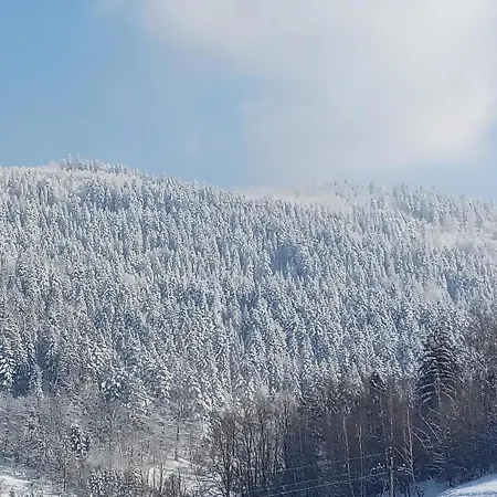 Willa Dom W Górach Przy Szlaku
