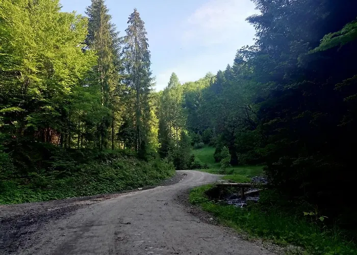 Dom W Gorach Przy Szlaku Bystra (Zywiec)