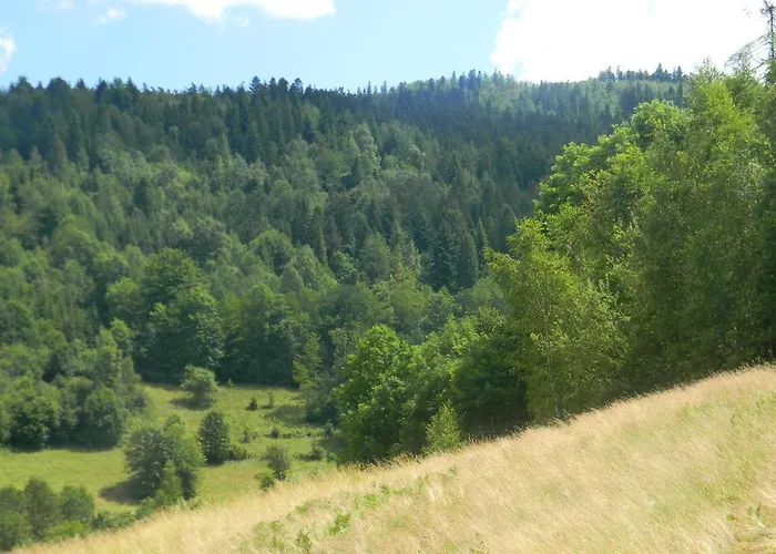 Dom W Gorach Przy Szlaku Villa