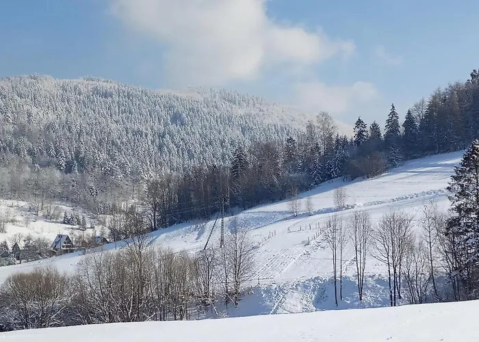 Dom W Górach Przy Szlaku Willa Bystra (Zywiec)