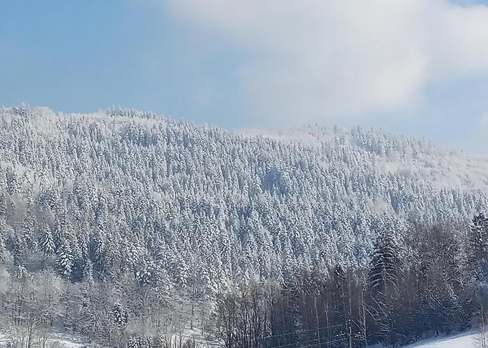 Willa Dom W Górach Przy Szlaku