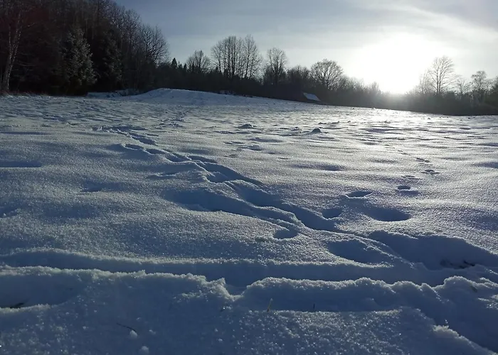 Villa Dom W Gorach Przy Szlaku Bystra (Zywiec)