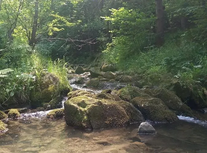 Dom W Gorach Przy Szlaku Villa *