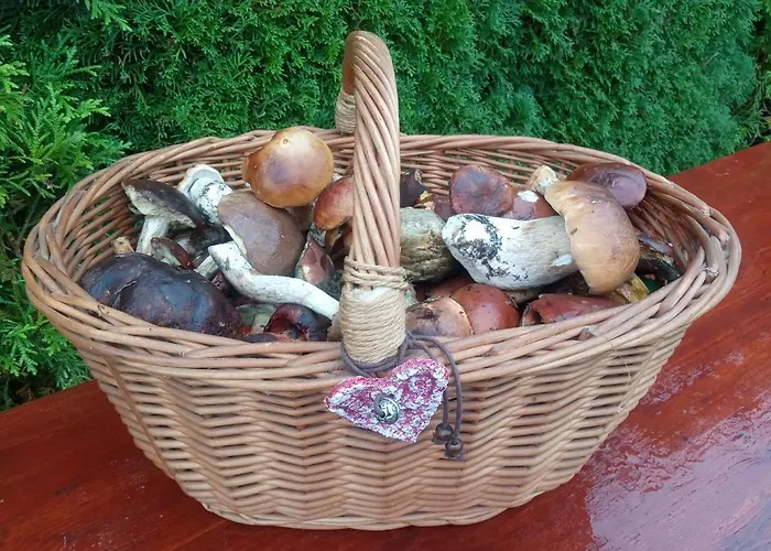 Villa Dom W Gorach Przy Szlaku