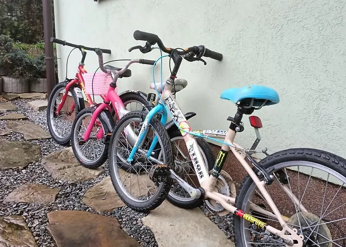 Dom W Gorach Przy Szlaku Bystra (Zywiec)